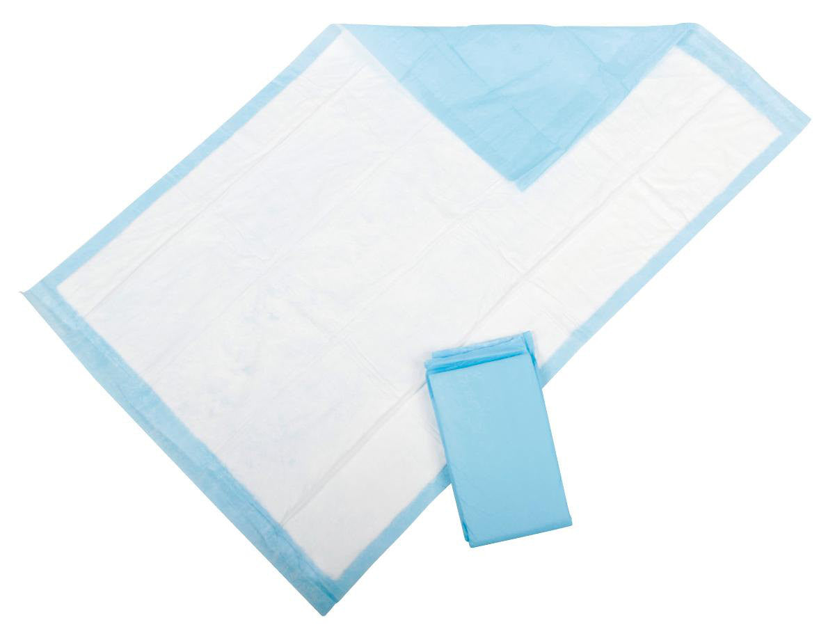 Triumph Reusable Underpads by Medline - FREE Shipping